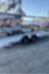 ant_14_20_1.jpg